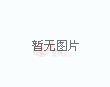 维尔贝克：我的名字能跟世界杯联系在一起？这当然是好事